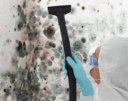 Best Residential Mold Inspection & Testing  in Marlton, MD